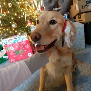 Meet your Posher, Cortney